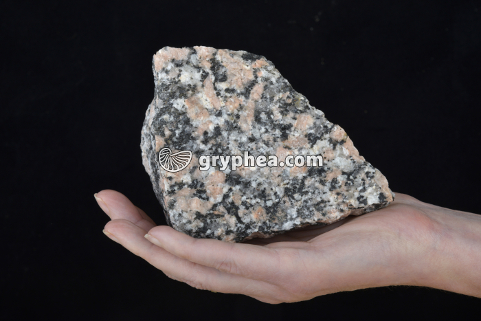Granite rose - gryphea.com